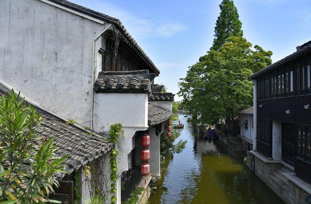美人鱼的聚会